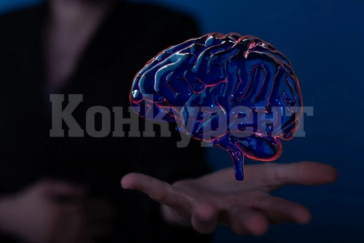 Две напитки поддържат мозъка и паметта