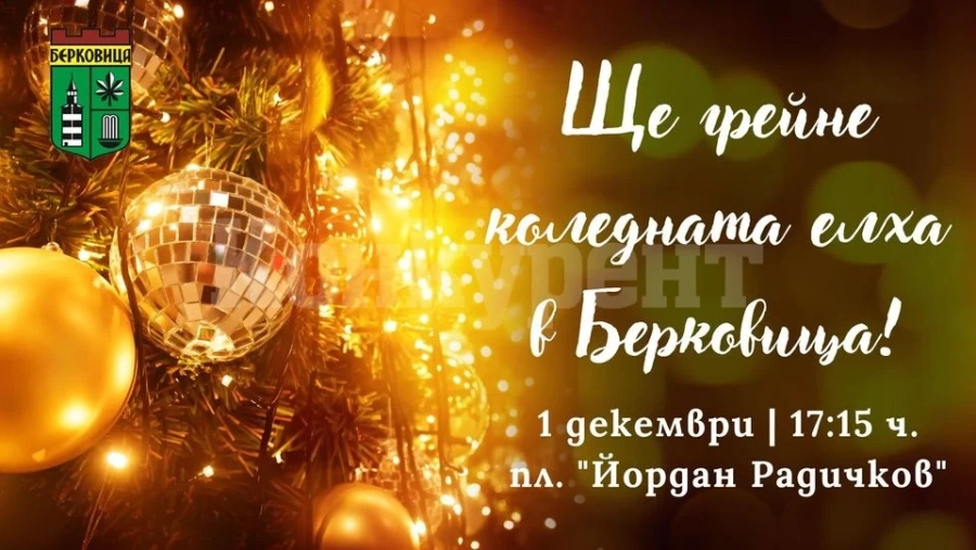 На 1 декември ще грейне коледната елха, озарена от светлина в Берковица