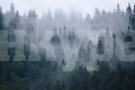 Облачно и мъгливо ще е времето днес