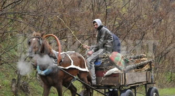 Видинчанин отнесе акт заради каруца с незаконни дърва