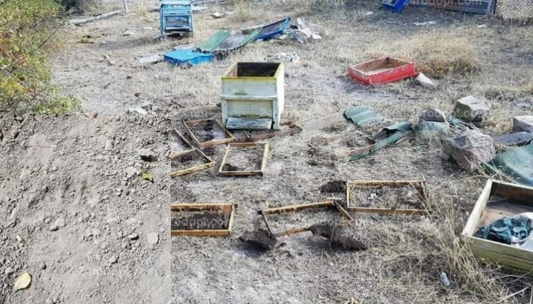 България не помни кражба като тази, спретната от 37-г. кърджалийка