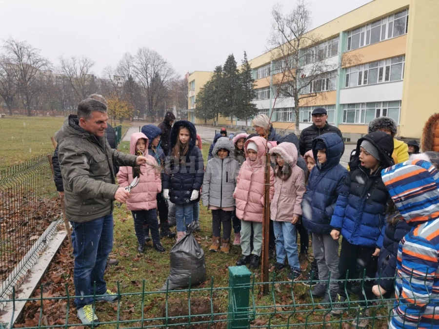 Служители на СЗДП с открит урок по залесяване във Враца СНИМКИ