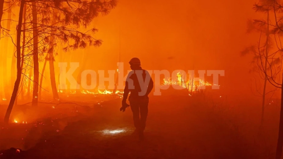 Горски пожари са опустошили рекордно големи площи в ЕС тази година