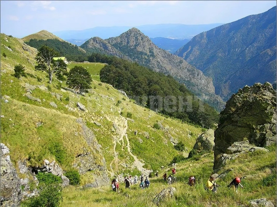 Няма места за ЧНГ в Балкана над Враца