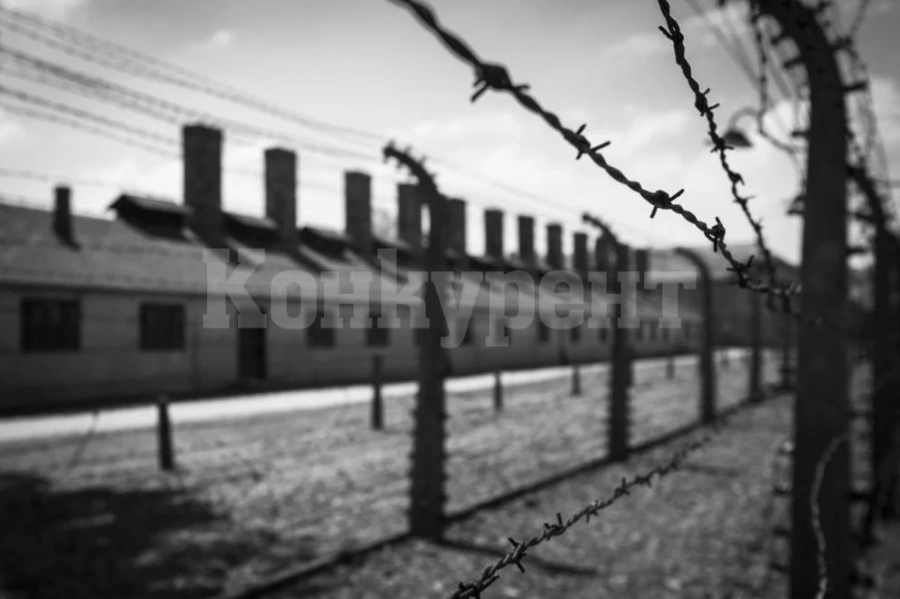 Осъдиха 97-годишна машинописка за нацистки военни престъпления