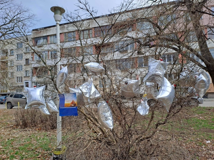 Незнаен гений „украси“ храст в парка на ДНА във Враца СНИМКИ