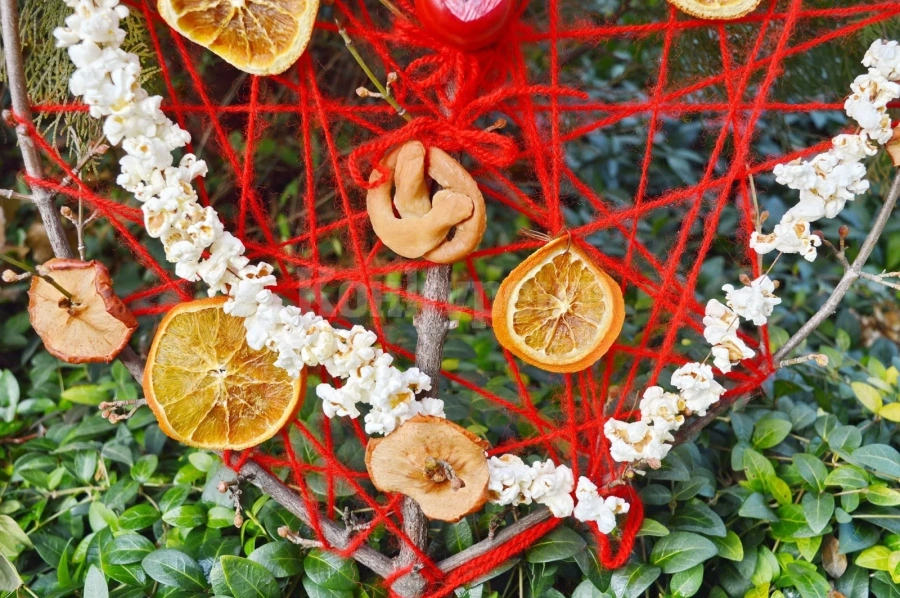 Каква магическа сила крие сурвачката
