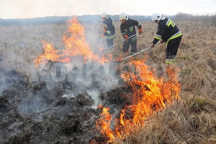 Огнеборци гасиха пламнали треви