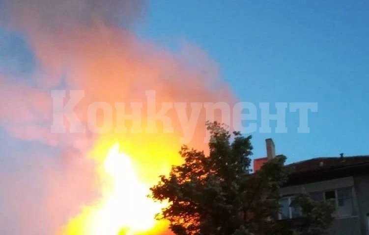 Пожар бушува в къща във Видинско