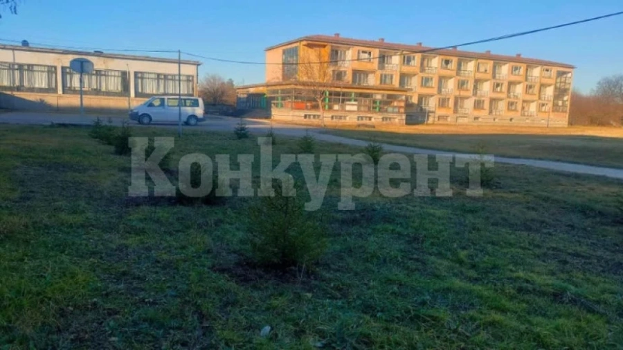 Ученици садиха Коледна гора в село Владимирово