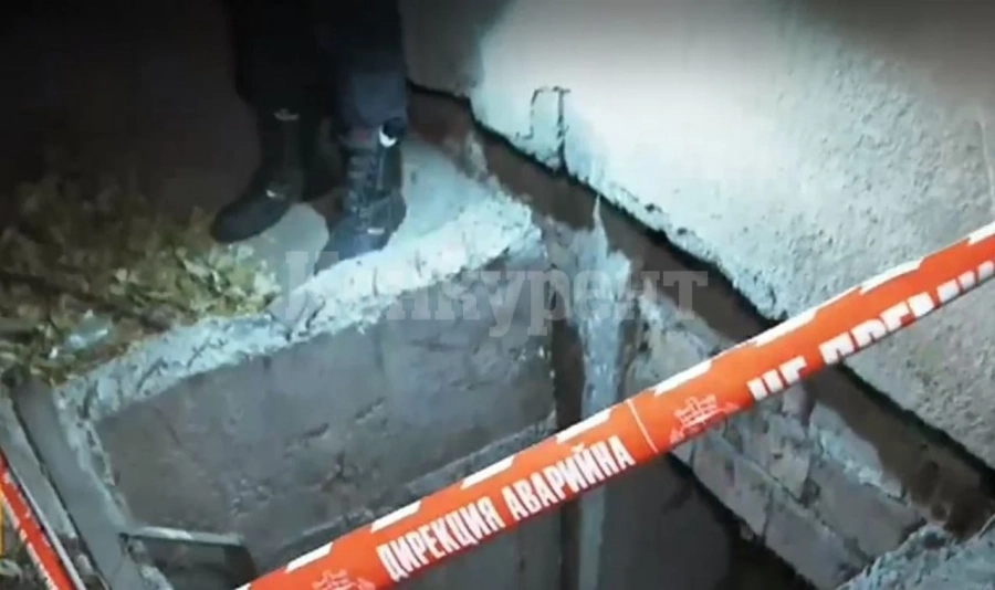 Жена и кучетата й пропаднаха в дълбока шахта в София