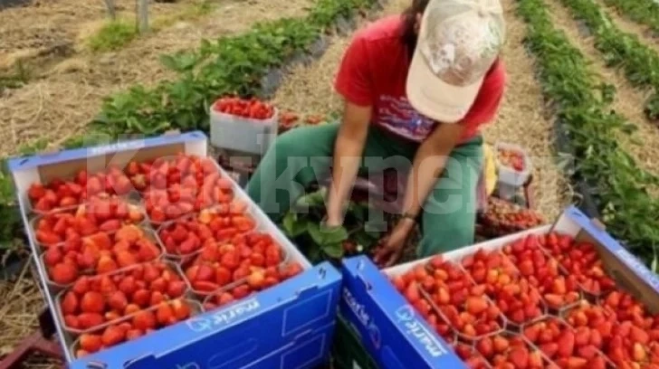 Ето от кои наши градове има най-много гурбетчии