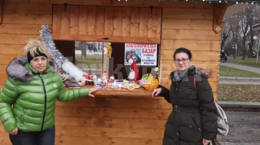 Жители на Лом в подкрепа на бездомни животни