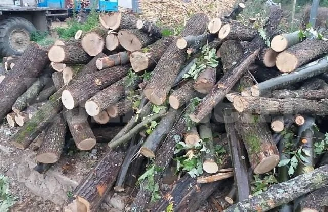 Пак тръгнаха на проверки за дърва по селските дворове
