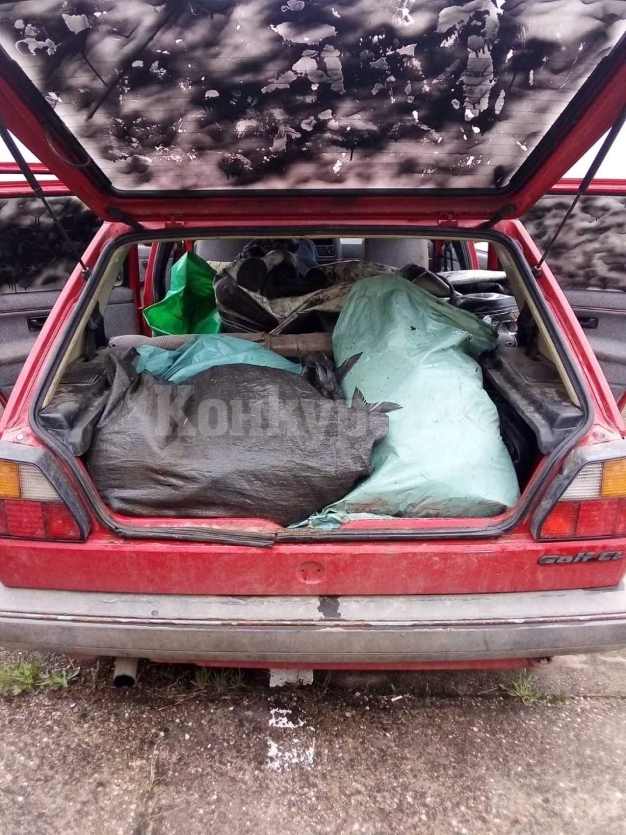 Лепнаха присъда на бракониера Пламен Видрата