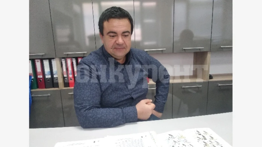 Преброиха зимуващите водолюбиви птици в областите Монтана и Видин