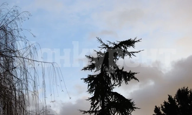 Опасен вятър ще вилнее и днес, вечерта ще завали