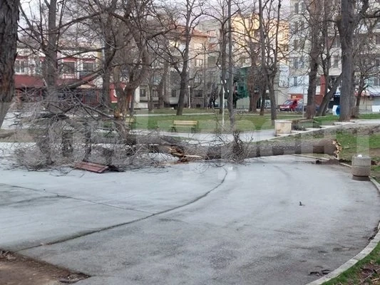 Предупреждение за силен вятър е в сила днес, във Враца още описват щетите