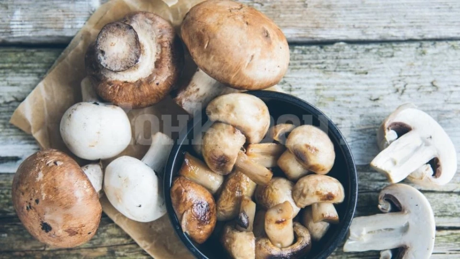 Гъбите - вкусни и полезни