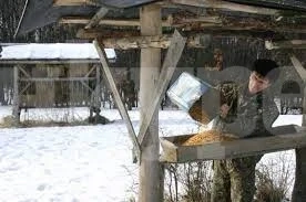 Засилено подхранване на дивеча след застудяване на климата