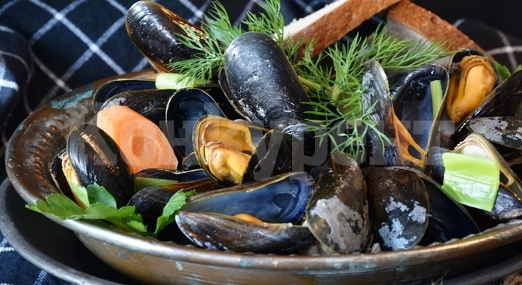 Учени: Праисторическите хора са били почитатели на морската храна