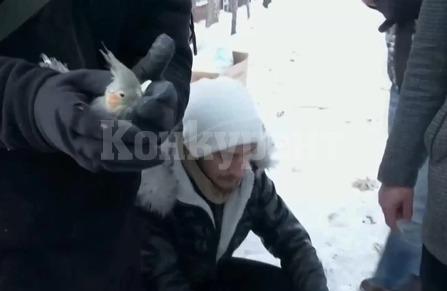 Щастлива развръзка: Спасиха папагал, прекарал над 50 часа под руините в Турция