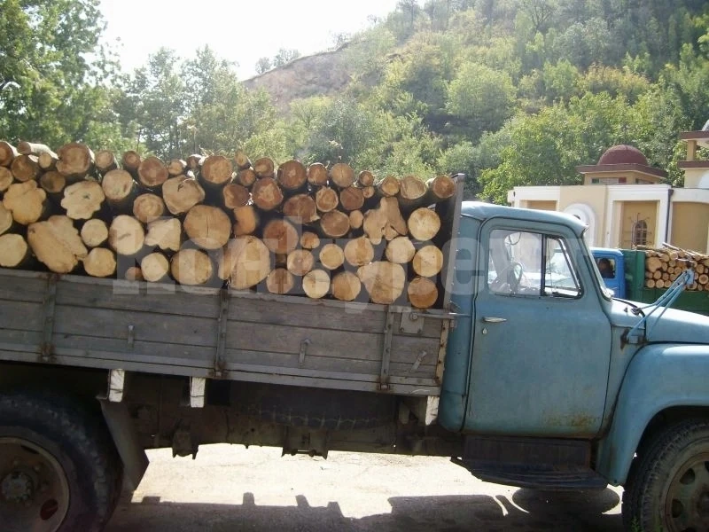 Спипаха мъж с 2 кубика незаконни дърва