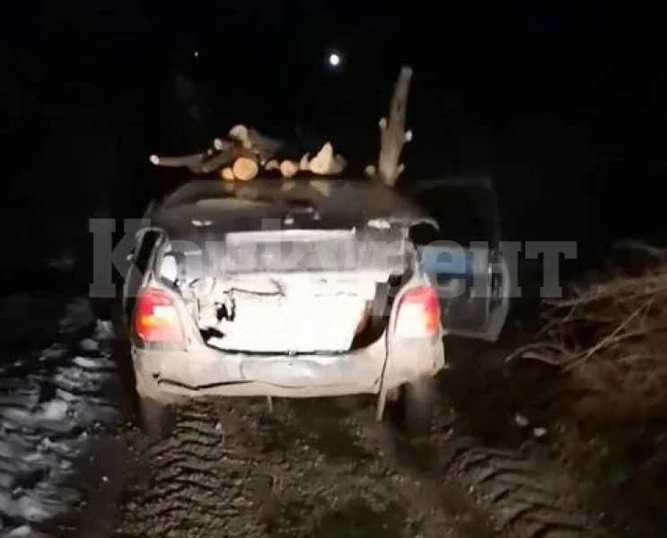 Нощна сеч в Монтанско: Мъж засне бричка без номера, но натоварена с дърва