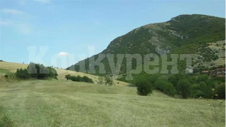 50 години резерват \