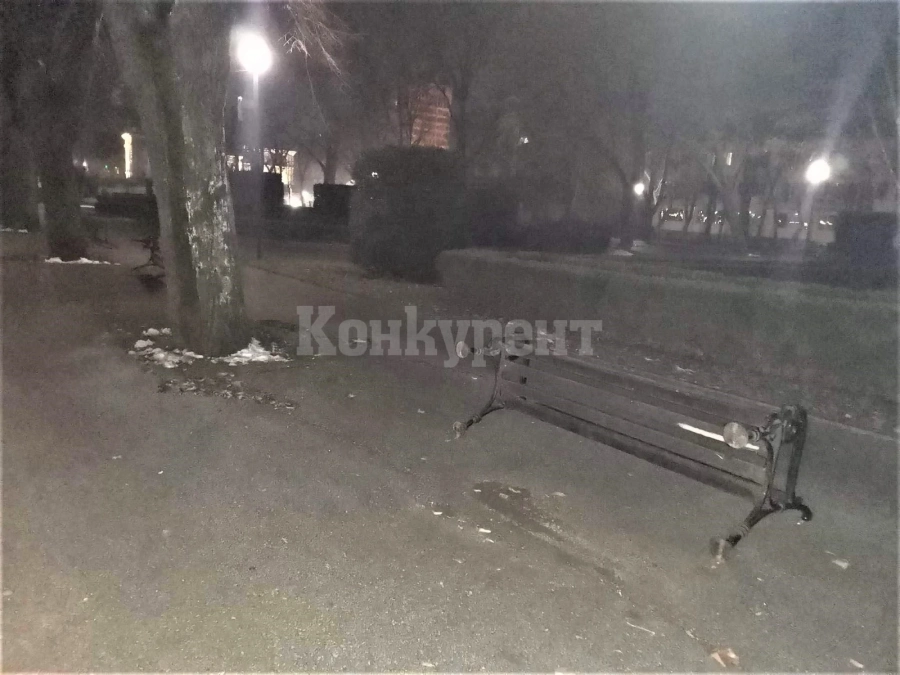 Пейки в Крайдунавския парк на Видин станаха обект на вандализъм СНИМКИ