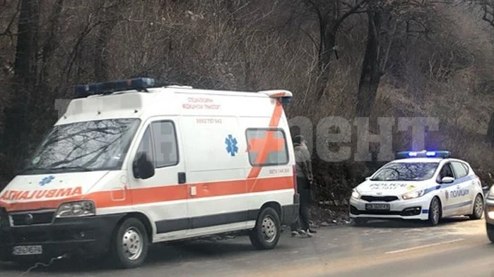 Трагедия! Откриха труп на жена край пътя до Берковица, ченгетата търсят колата – убиец