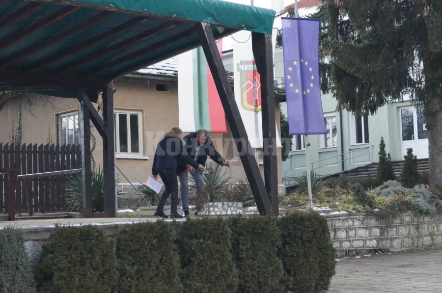 В Чупрене зарязаха лозите на Зарезан СНИМКИ