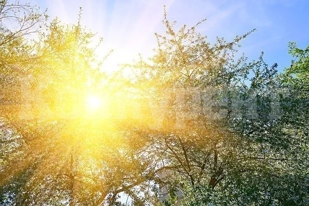Предимно слънчево ще е времето днес