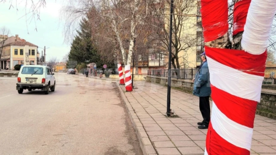 Доброволци украсиха центъра на Кула за Баба Марта