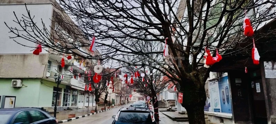 Украсиха с мартеници дръвчетата на централната Оряховска улица