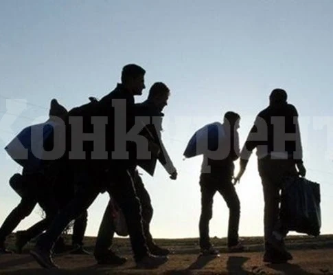 Задържаха за 72 часа грузинец, помагал на мигранти да минат през страната