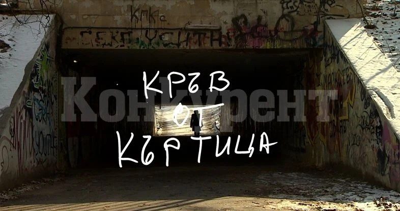 „БНТ Представя“ писателката Здравка Евтимова с филма „Кръв от къртица“