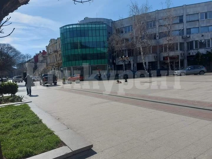 Вижте как карат шофьорите във Видин СНИМКИ