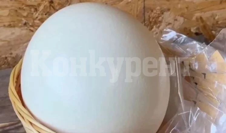 Яйцата били скъпи? Я вижте колко струват щраусовите