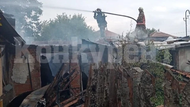 Огнена стихия изпепели имот във Видинско, щетите са огромни
