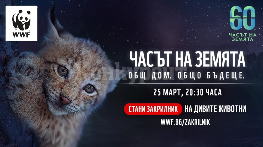 Община Видин се присъединява към „Часът на Земята“