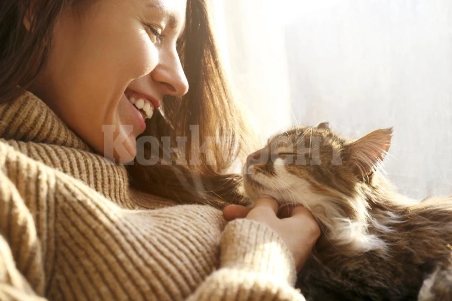 Котките манипулират стопаните си с мъркане