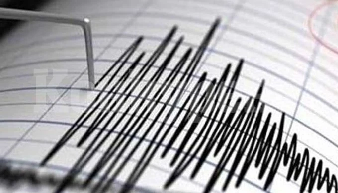 Земетресение с магнитуд от 5,4 разлюля Япония