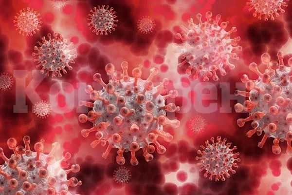57 са новите случаи на коронавирус, починали са двама
