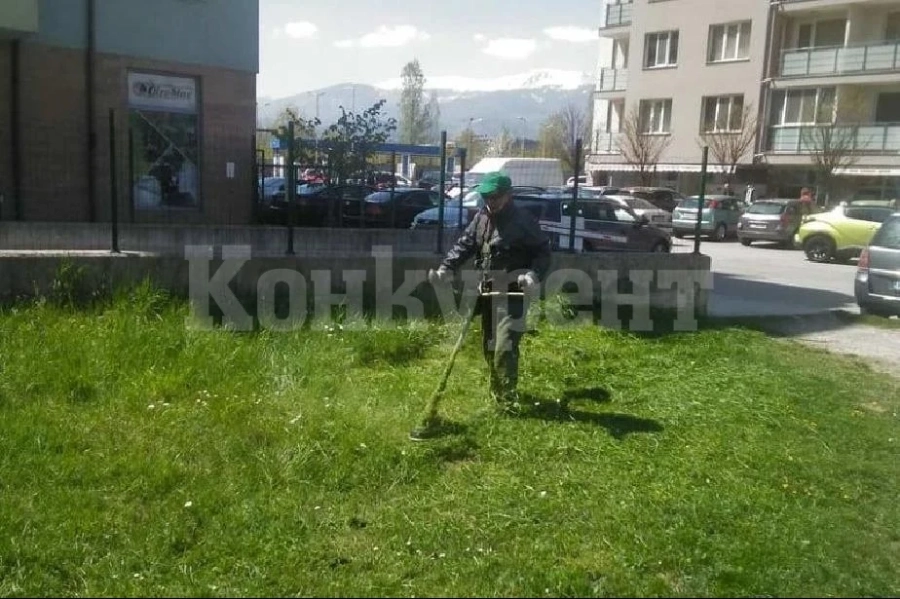 Косят зелените площи в Монтана