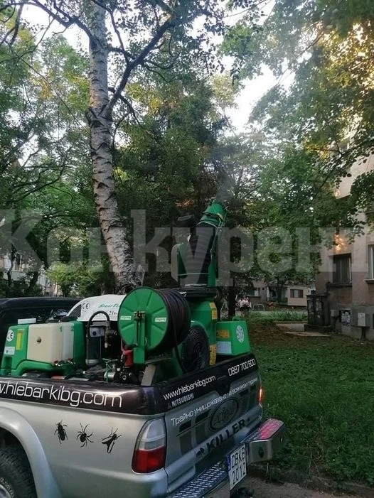 Стартира обработката на тревните площи срещу кърлежи и бълхи
