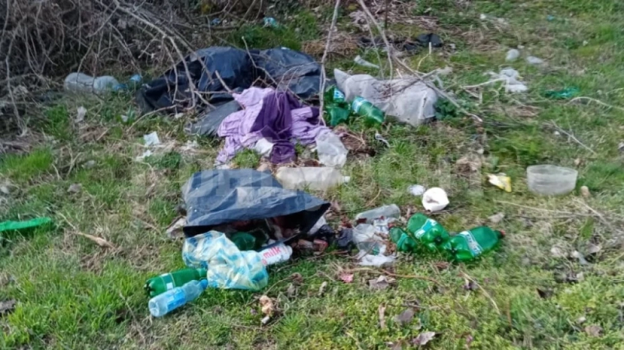 Доброволци почистиха път между селата Лик и Дърманци