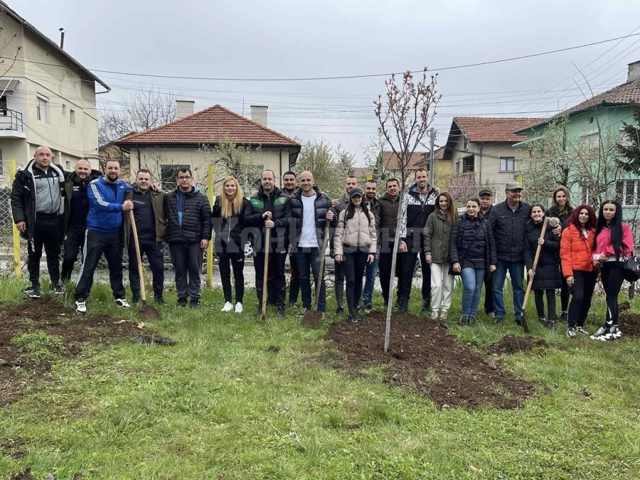 Навръх Цветница: Залесиха парка при стадиона с дървета от сорта японска вишна СНИМКИ
