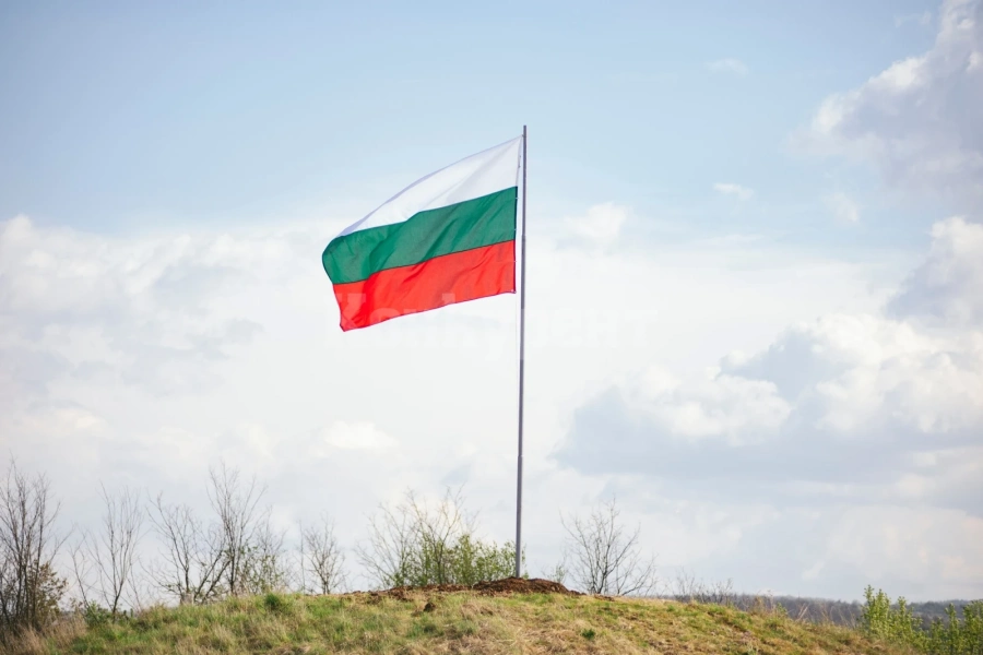 Националният трибагреник краси входно-изходните пътни артерии на Мездра