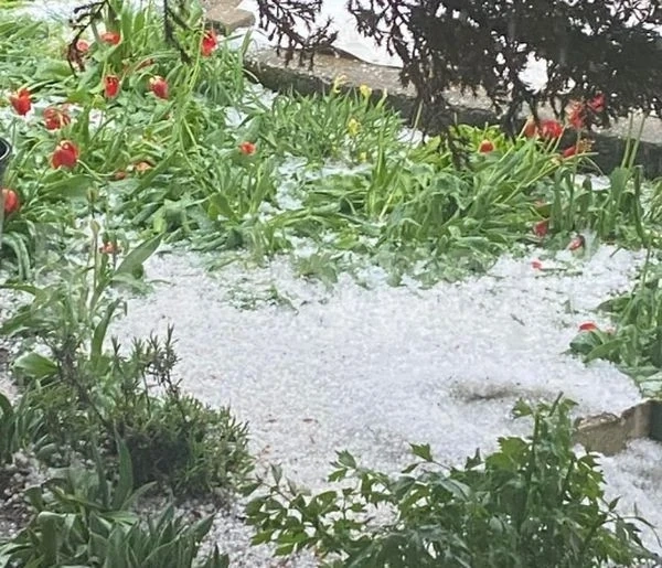 Мощни гръмотевични бури и градушка помляха половин България